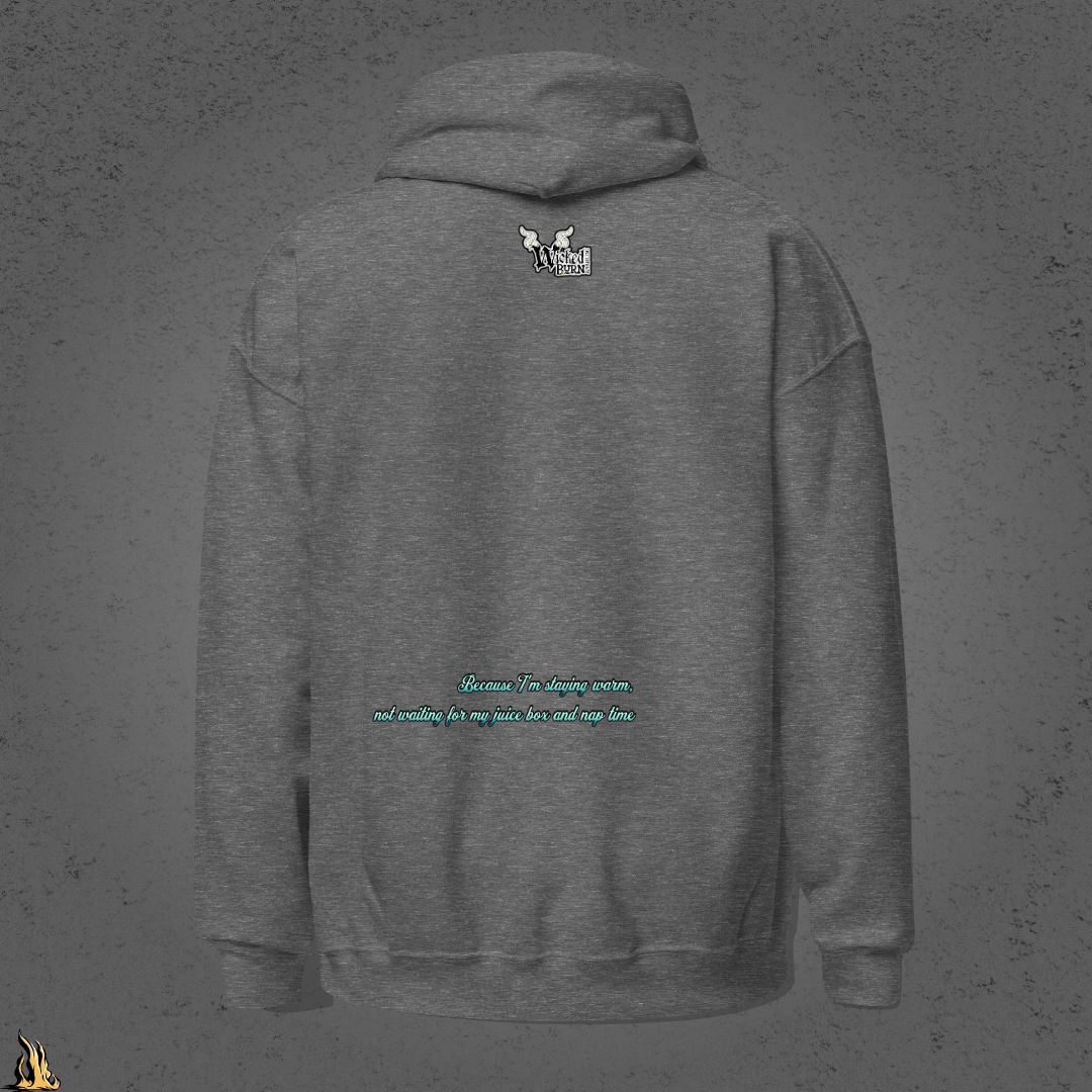 It's Called a Hoodie Obviously - Funny Raccoon Graphic Unisex Hoodie